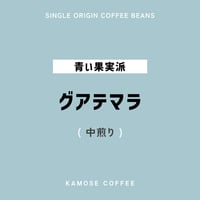 グアテマラ / GUATEMALA　５００g