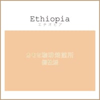 エチオピア /ETHIOPIA　１００g