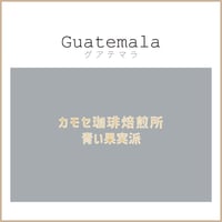 グアテマラ / GUATEMALA　５００g