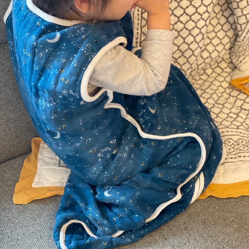 レア　サリースコット　豆型オーバル型　クッション本体1＋カバー2枚セット 楽天市場】犬 カート あごのせ クッション ペットカート正規品