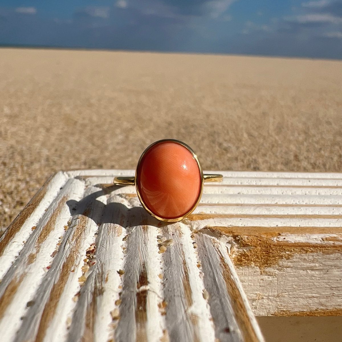 tatsuo nagahata コーラルリング 珊瑚