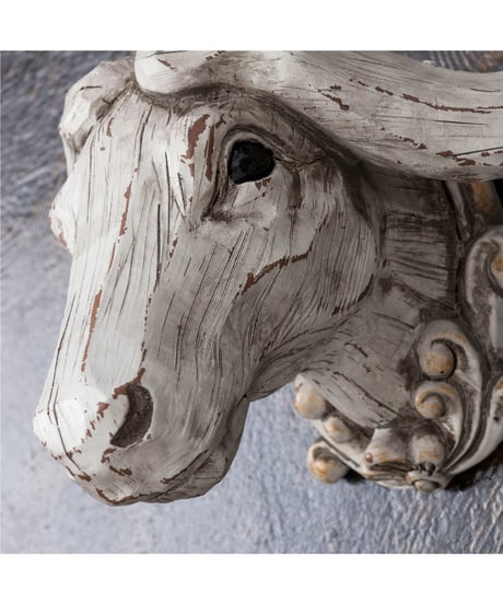 OBJET｜Animal Hunting Trophy ｜Buffalo