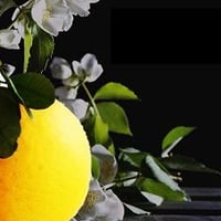 35・四国伊予柑 30ml |業務用アロマJapanesque・Supreme Aroma