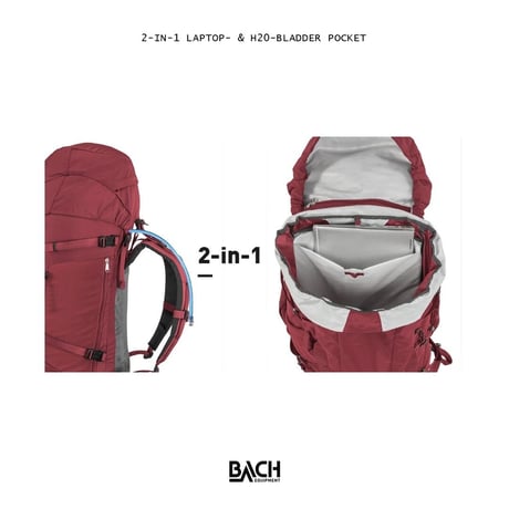 【BACH】DAYDREAM 40_Regular