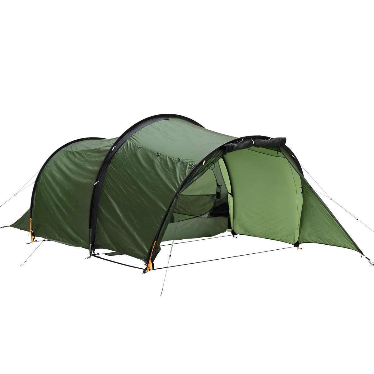 BACH Equipment】Oriole 3_Willow bough Green | g