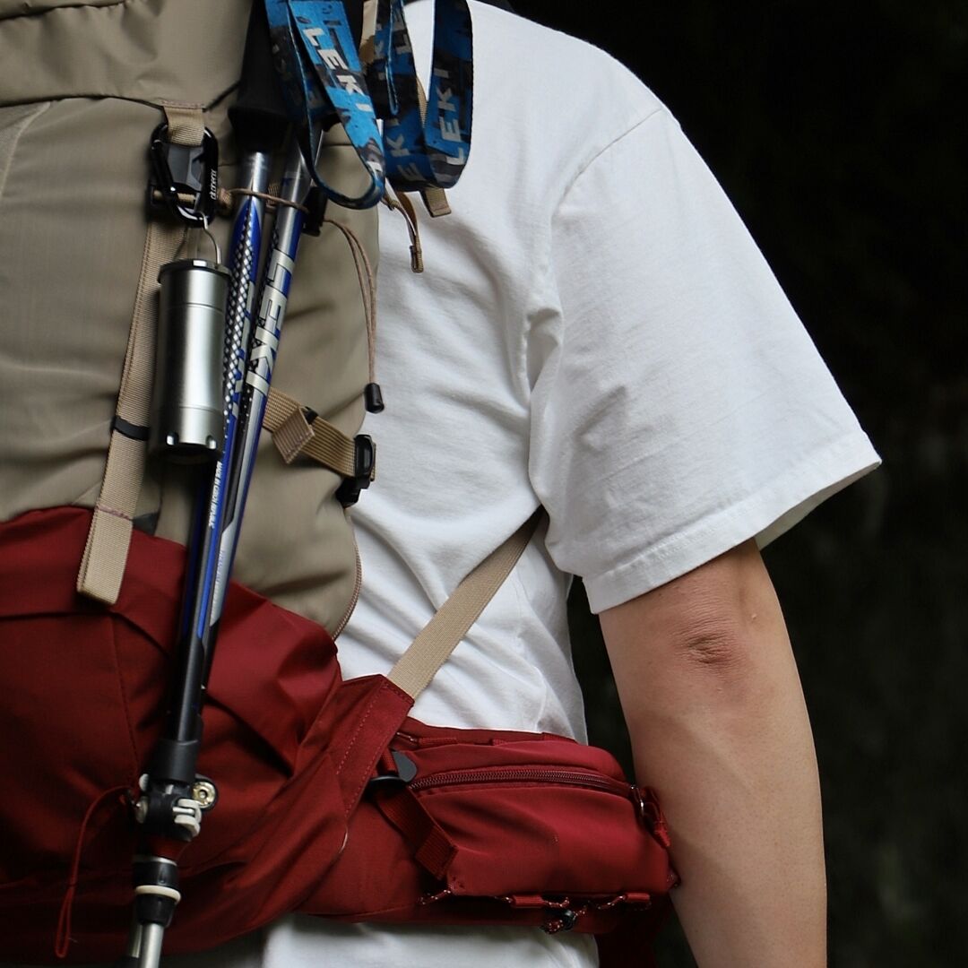 BACH】DAYDREAM 40_Regular | gearism store