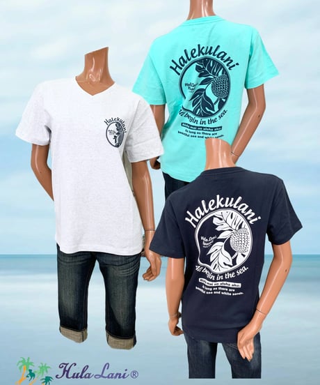 HULA LANI レディース 半袖 VネックTシャツ 252HU2ST370