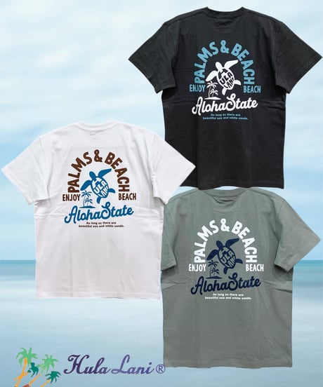 HULA LANI メンズTシャツ 252HU1ST375