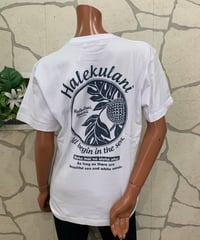 HULA LANI レディースTシャツ 262HU2ST826