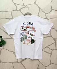 HULA LANI メンズTシャツ 262HU1ST853