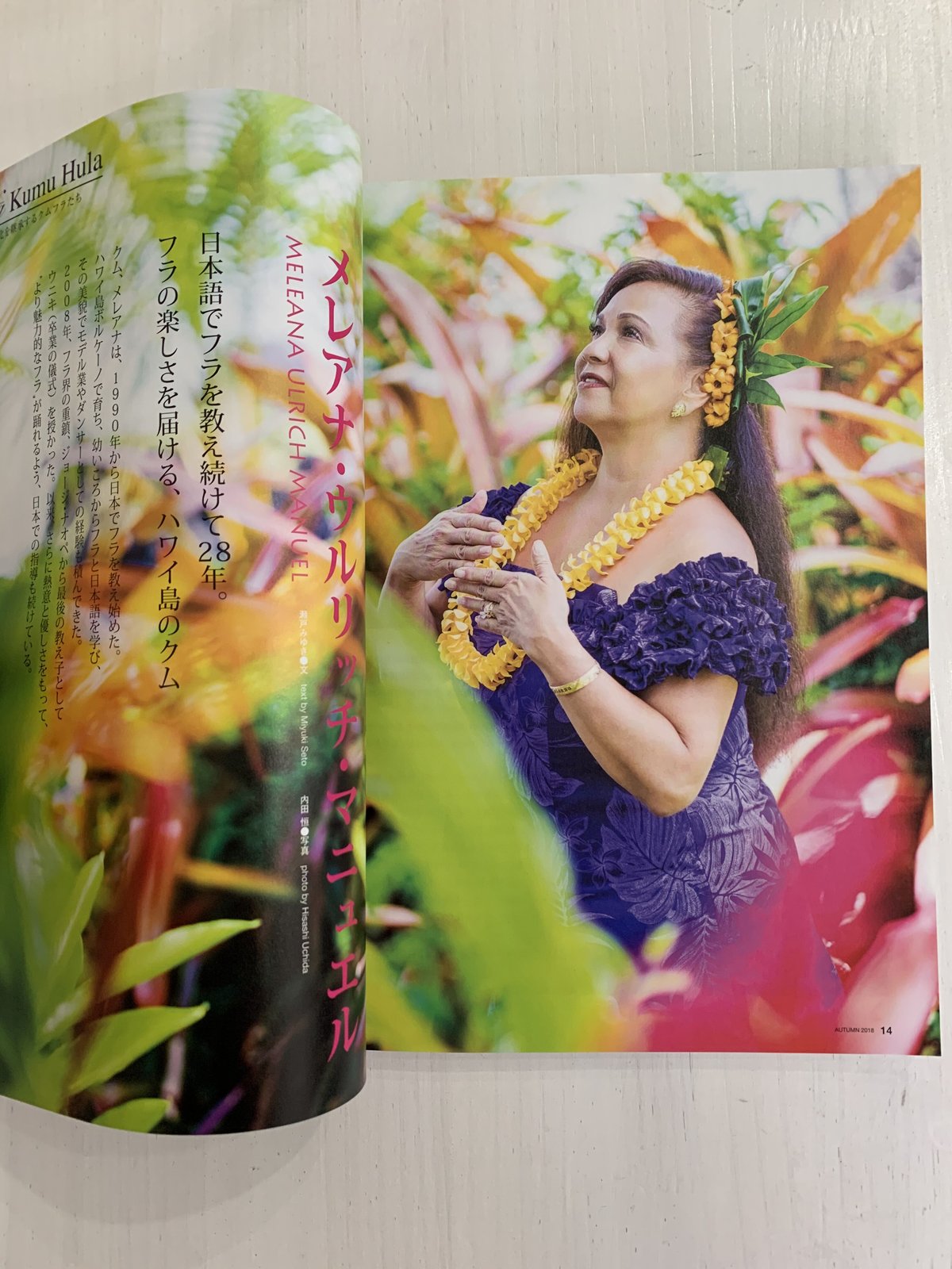 フラレア　HULA Le'a まとめ売り　41号〜60号　フラダンス ハワイ fit=scale-down,w=1200