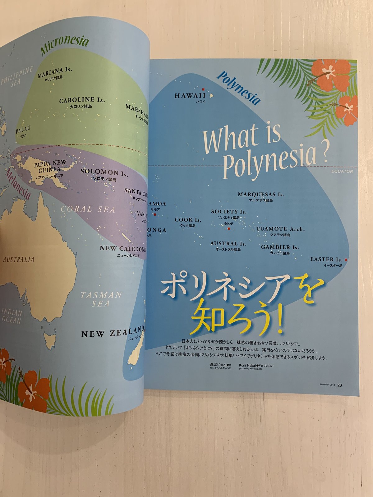 フラレア　HULA Le'a ハワイアンメレCD 30枚セット フラレア HULA Le'a ハワイアンメレCD 30枚セット フラレア HULA Le'a