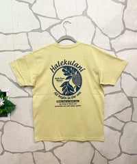 HULA LANI メンズTシャツ 262HU1ST825