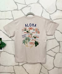 HULA LANI メンズTシャツ 262HU1ST853