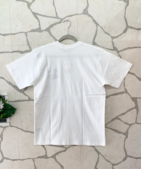 メンズTシャツ 262AN1ST664