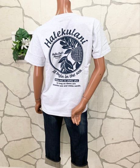 HULA LANI レディース 半袖 VネックTシャツ 252HU2ST370