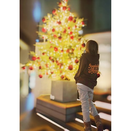 REG Star Script Zip-up Hoodie Limited20(Brown)