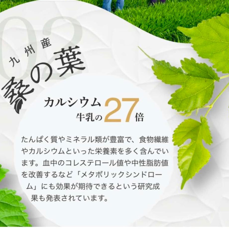 6780fb16a7ffd407a49ff4b2