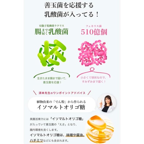 無添加✨ 国産✨️ 美腸活青汁 30包入
