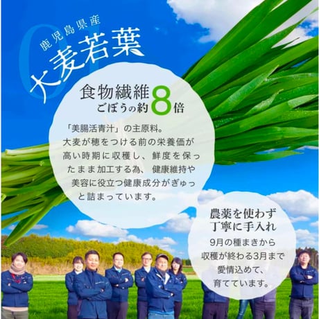 無添加✨ 国産✨️ 美腸活青汁 30包入