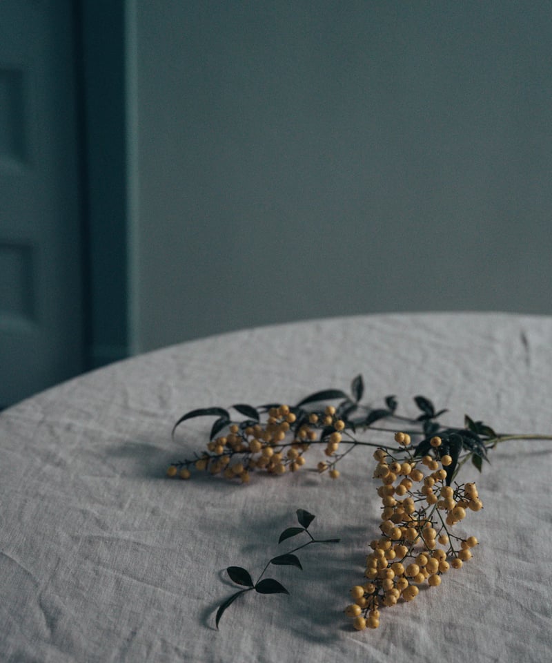 iconology 花を着るワンピース　#06 南天　gray 花を着るワンピース#06【南天】-gray- | iCONOLOGY