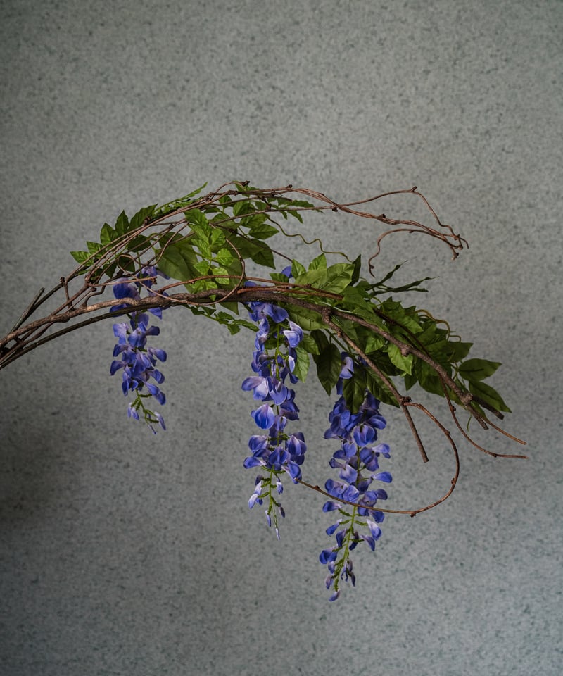 花を着るブラウス#05【藤】 -black- | iCONOLOGY