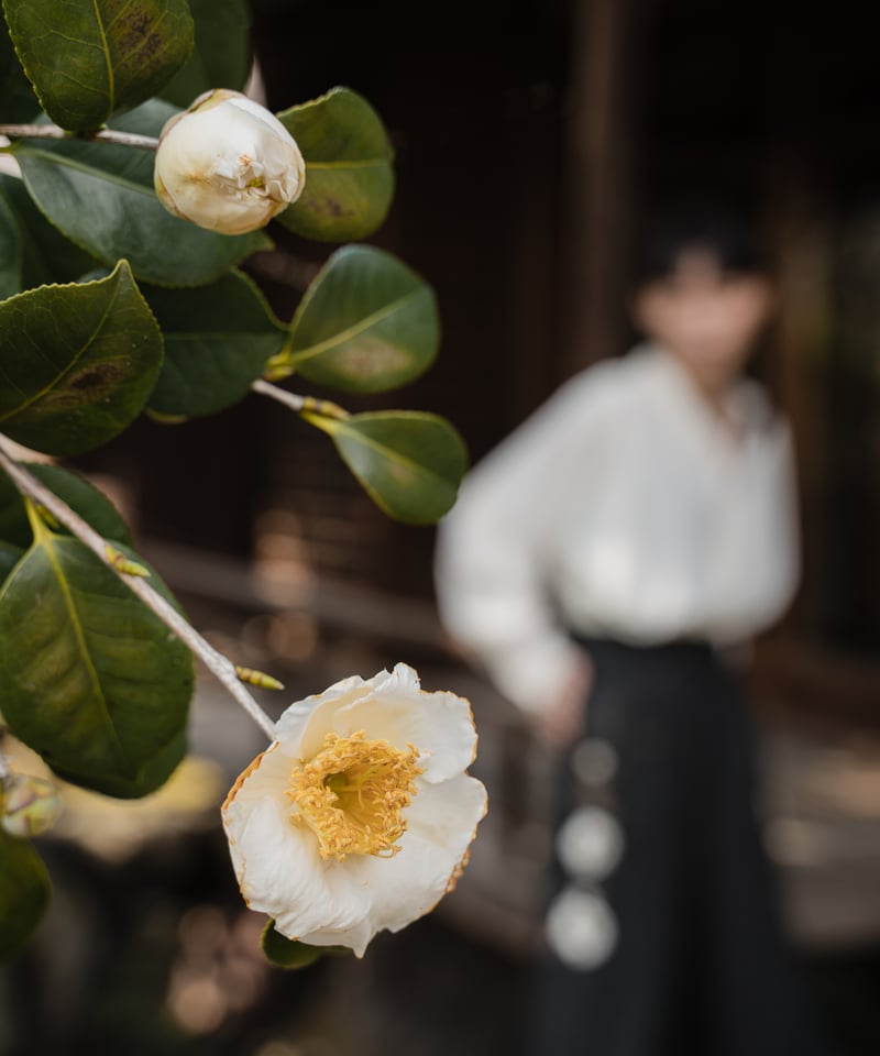 iCONOLOGY 花を着るスラックス 【カラー】 花を着るワイドパンツ【赤椿】 | iCONOLOGY