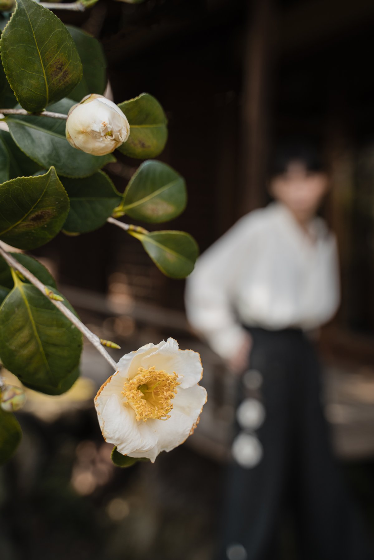 花を着るワイドパンツ【白椿】 | iCONOLOGY 花を着るワイドパンツ【白椿】 | iCONOLOGY