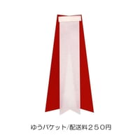 リボン記章 交換用タレ◆中◆10枚セット
