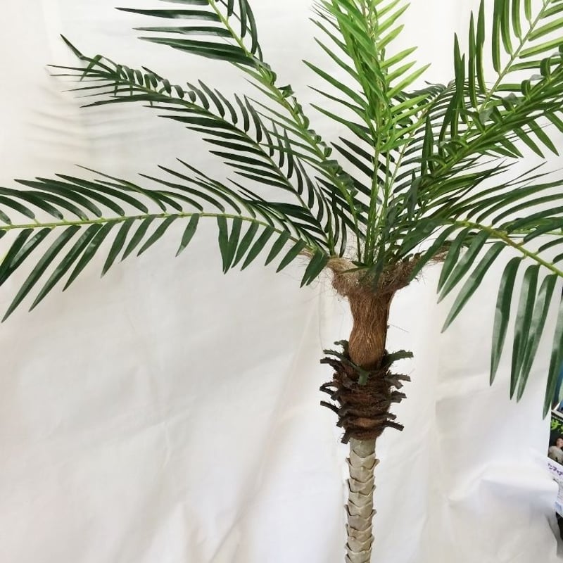 ヤシの木「フェニックスパームツリー」人工観葉植物 全長150cm | 上田楽器ONLINE S...