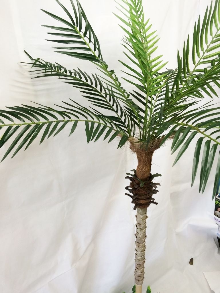 ヤシの木「フェニックスパームツリー」人工観葉植物 全長150cm | 上田