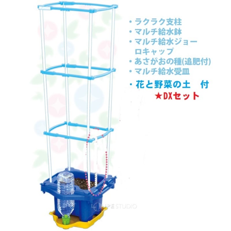 あさがお栽培キット マルチラクラクあさがお 支柱付セット