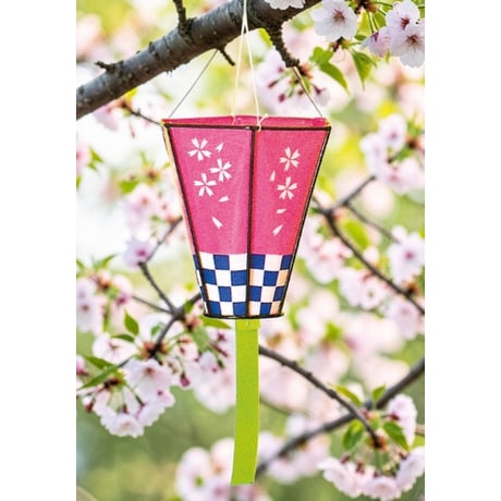 桜ぼんぼり １０号「30cm×30cm」花見/装飾/提灯