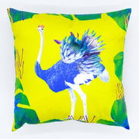 エクスプローラークッションカバー　Tropical Ostrich
