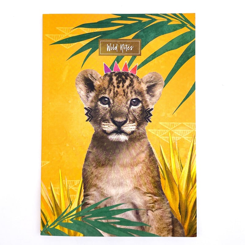 英文ライティング教材 絵日記ライオン 絵日記ライオンオリジナル絵本6冊セット【All the Year with Leo