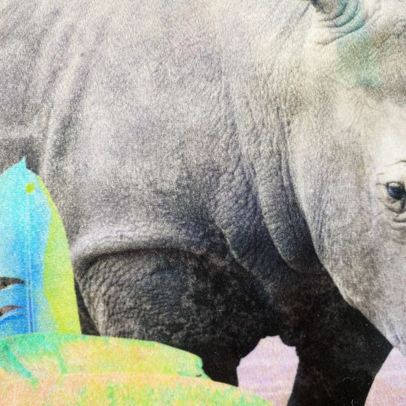 エクスプローラークッションカバー Holiday Rhino | Kangarui