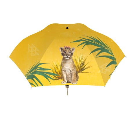 ☆新品☆イイダ傘店 雨傘 サファリ ☆新品☆イイダ傘店 雨傘