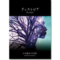 写真集「ディストピア -dystopia-」(訳あり値下げ済）
