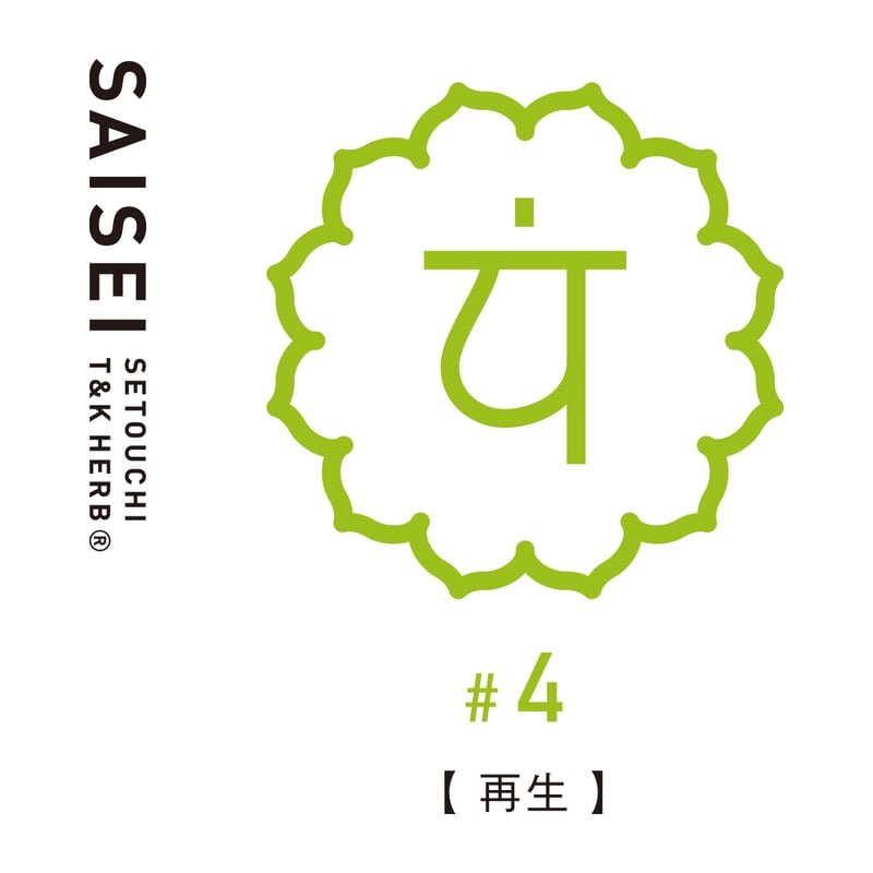 エキナセアと6種のハーブ 呼吸器系を整えるハートのチャクラ ハーブ
