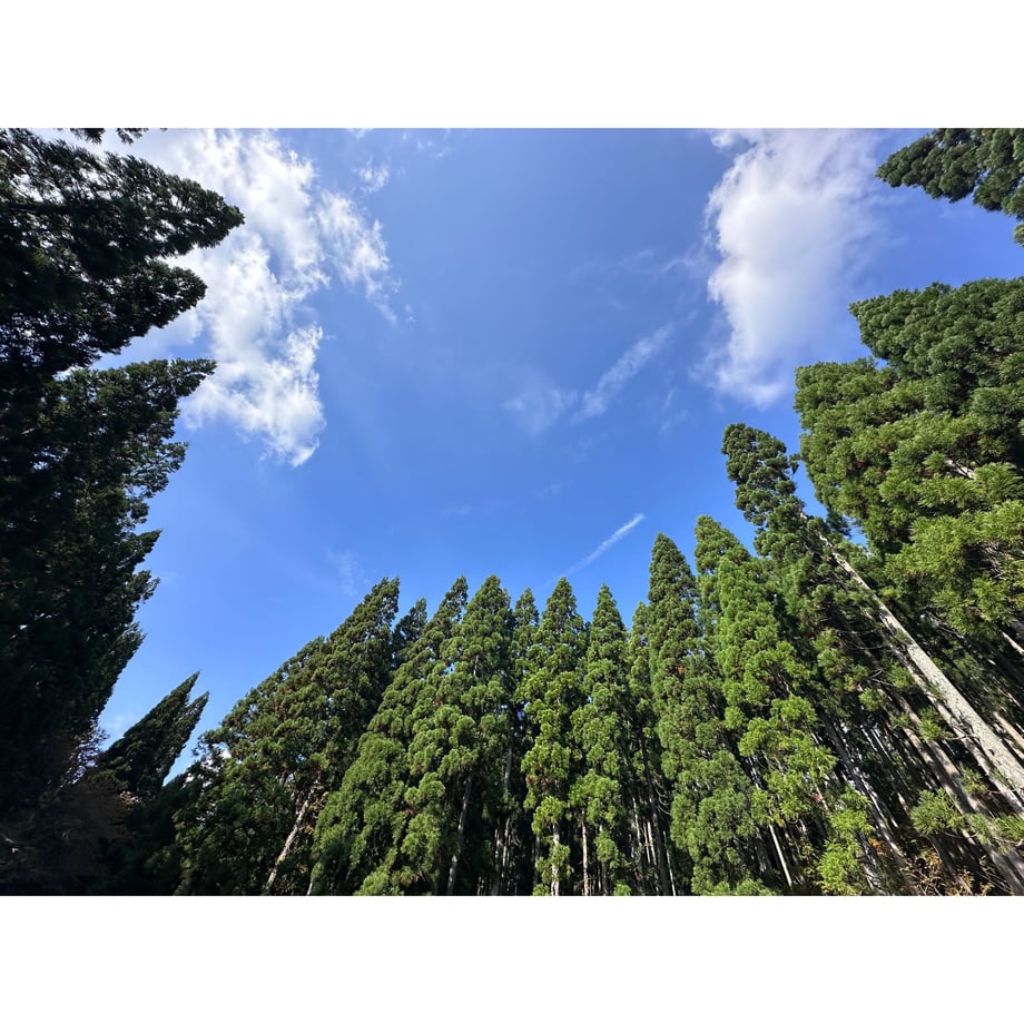 68b400c10d04b9ef050c717c