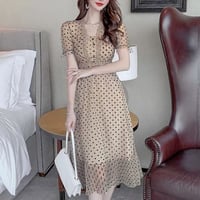 dot brown lace onepiece