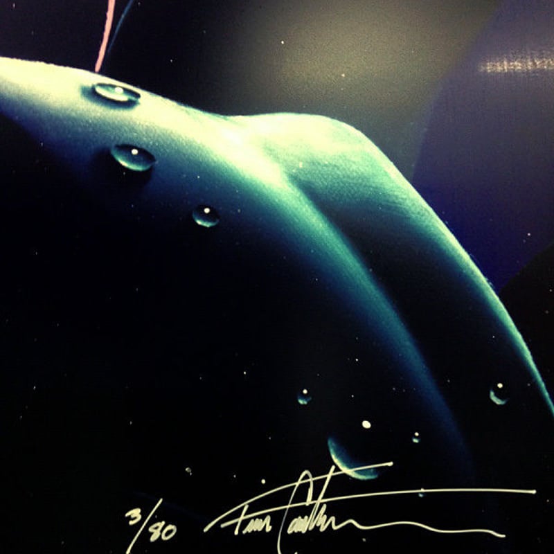 入手困難！絵画インブルーム84×70ティム カンター Tim cantor