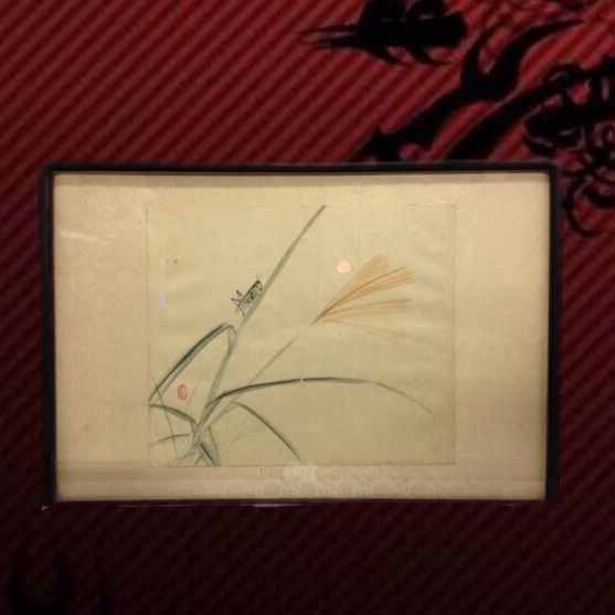 日本画◾️朱印 栖鳳 『秋草花図』額装仕立て 57×40