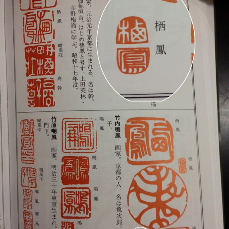 竹内栖鳳、【丘の花】、希少画集画より、状態良好、新品高級額装付 竹内栖鳳、【丘の花】、希少画集画より、状態良好、新品高級額装付