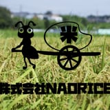 NAO RICE