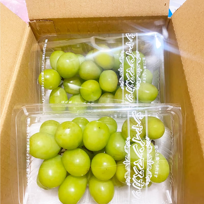 シャインマスカット4箱 GAIAネット[※]【産地直送】【送料込】宝