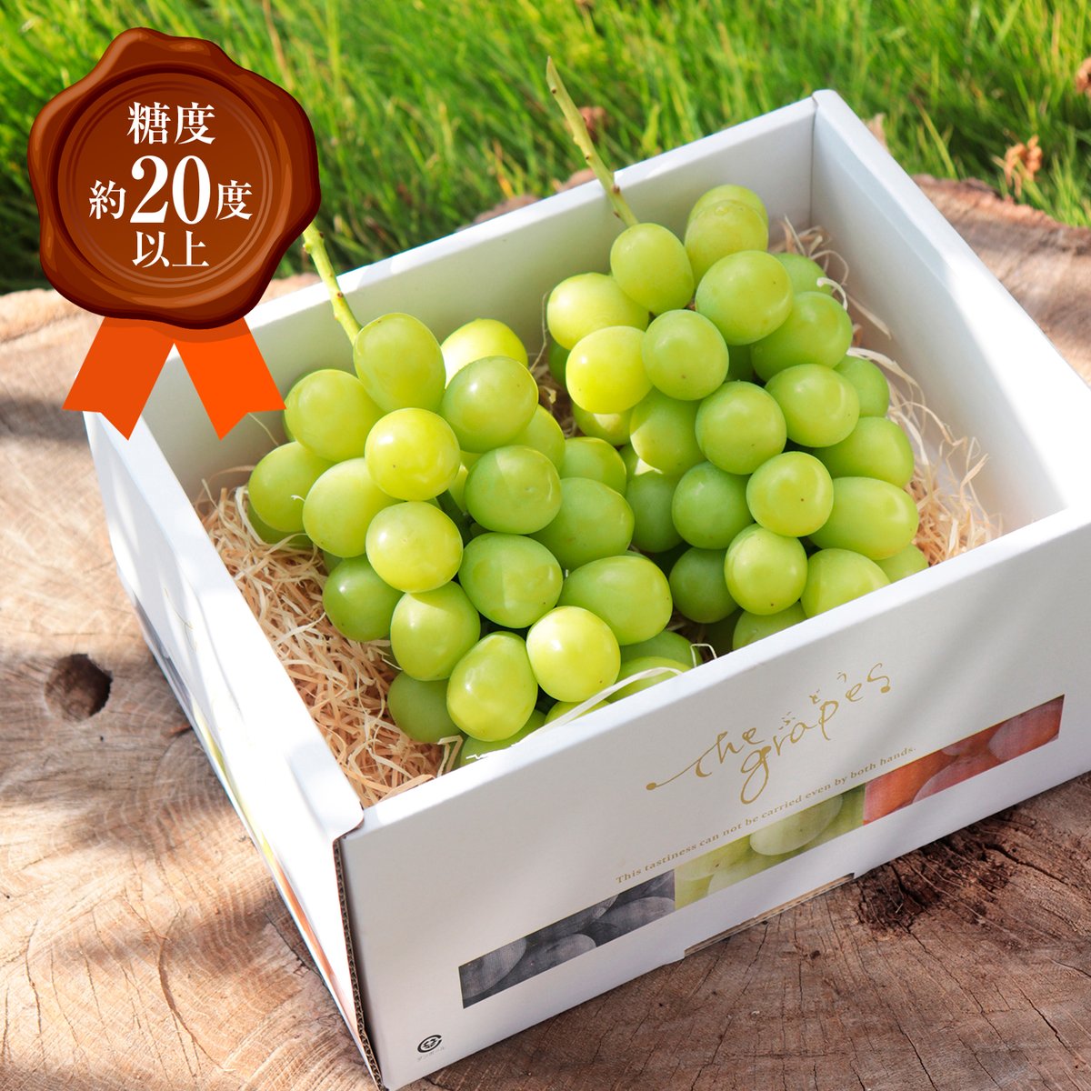 贈答用！ヒルズマスカット・グリーン(シャインマスカット） 2房
