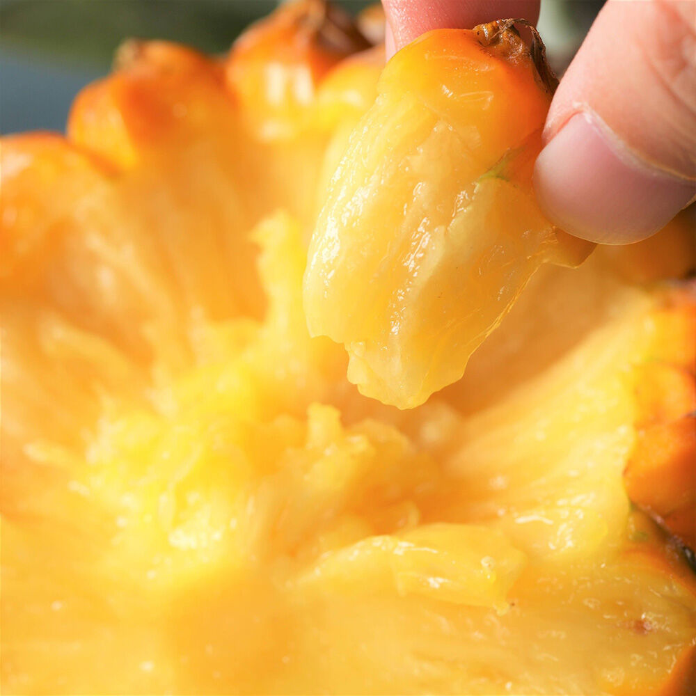 2025年収穫終了】 スナックパイン 2kg(3-4玉) 沖縄県産 宜野座村産