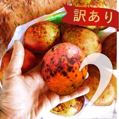 STORES 沖縄の検索結果