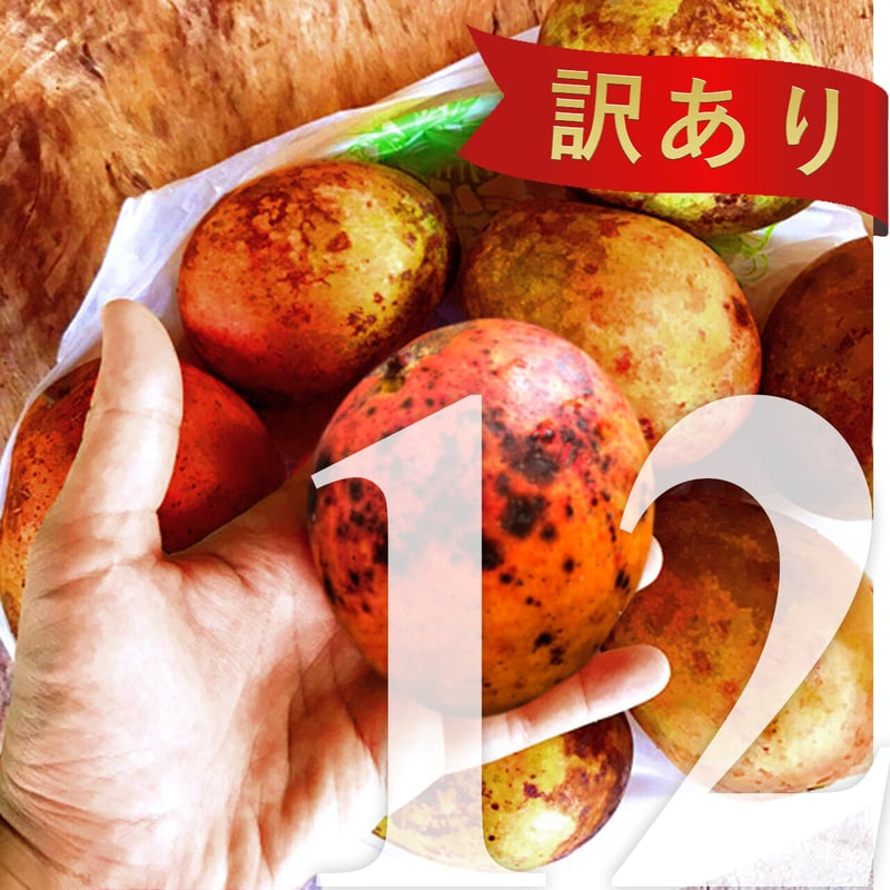 2024年収穫/無農薬】宜野座村産完熟マンゴー【お得パック】冷凍 2024年収穫/無農薬】宜野座村産完熟マンゴー【お得パック】冷凍